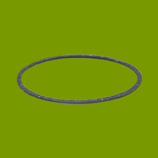 (image for) Briggs & Stratton Bowl Gasket 270511, 4169, 485-185